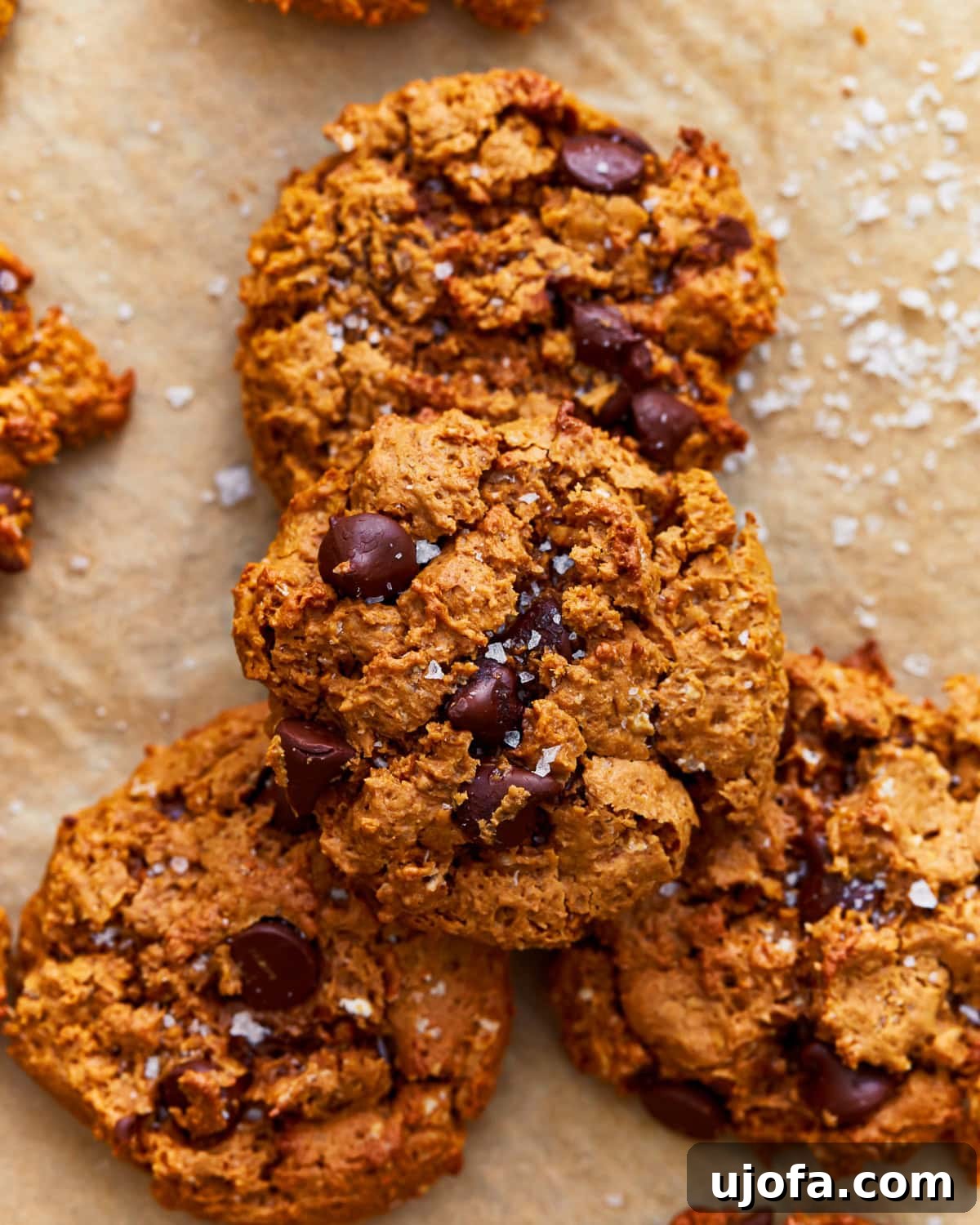 A stack of gluten-free peanut butter oatmeal cookies sprinkled with sea salt, showcasing their delightful texture and golden-brown perfection.
