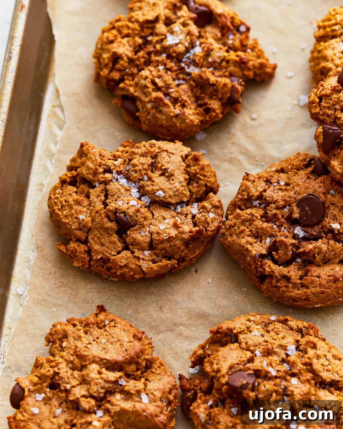 gluten-free peanut butter oatmeal cookies on a parchment lined baking sheet, golden and ready to cool.