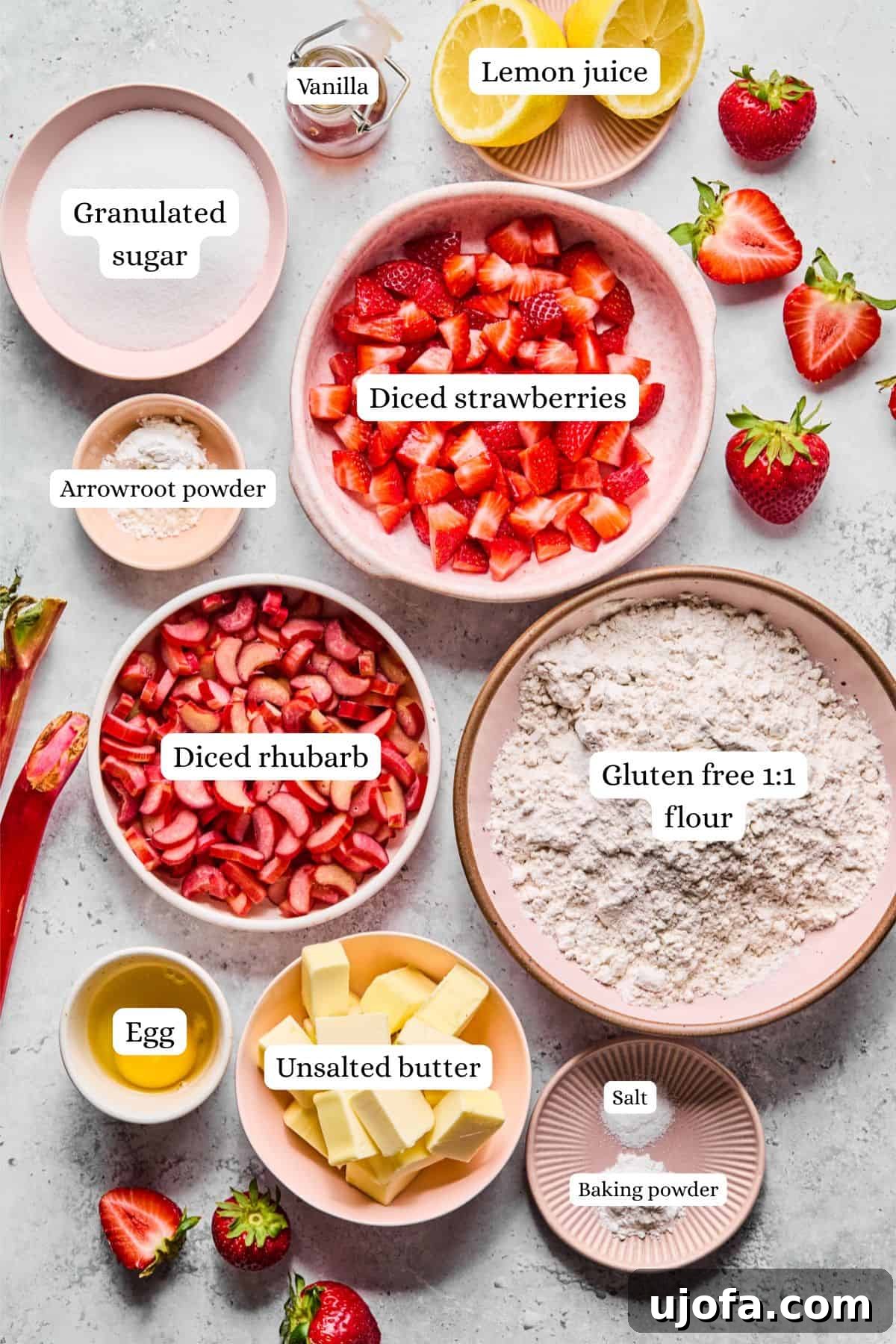 Overhead shot of ingredients laid out for strawberry rhubarb bars: fresh strawberries, rhubarb, arrowroot powder, gluten-free flour blend, cubed butter, egg, sugar, baking powder, salt, and vanilla