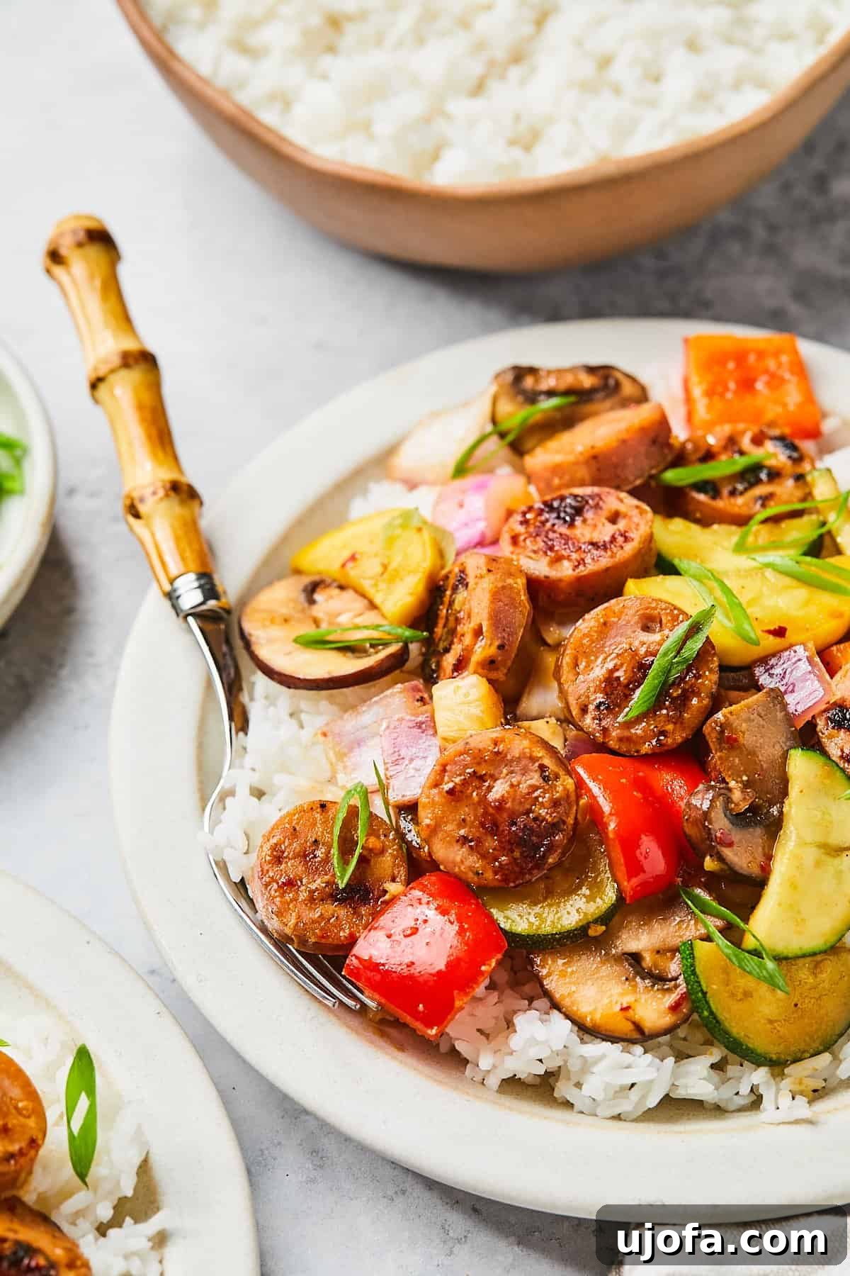 Apple Sausage Chicken Skillet Sensation 12 Serving of sausage stir fry in a bowl with white rice and chopped green onions