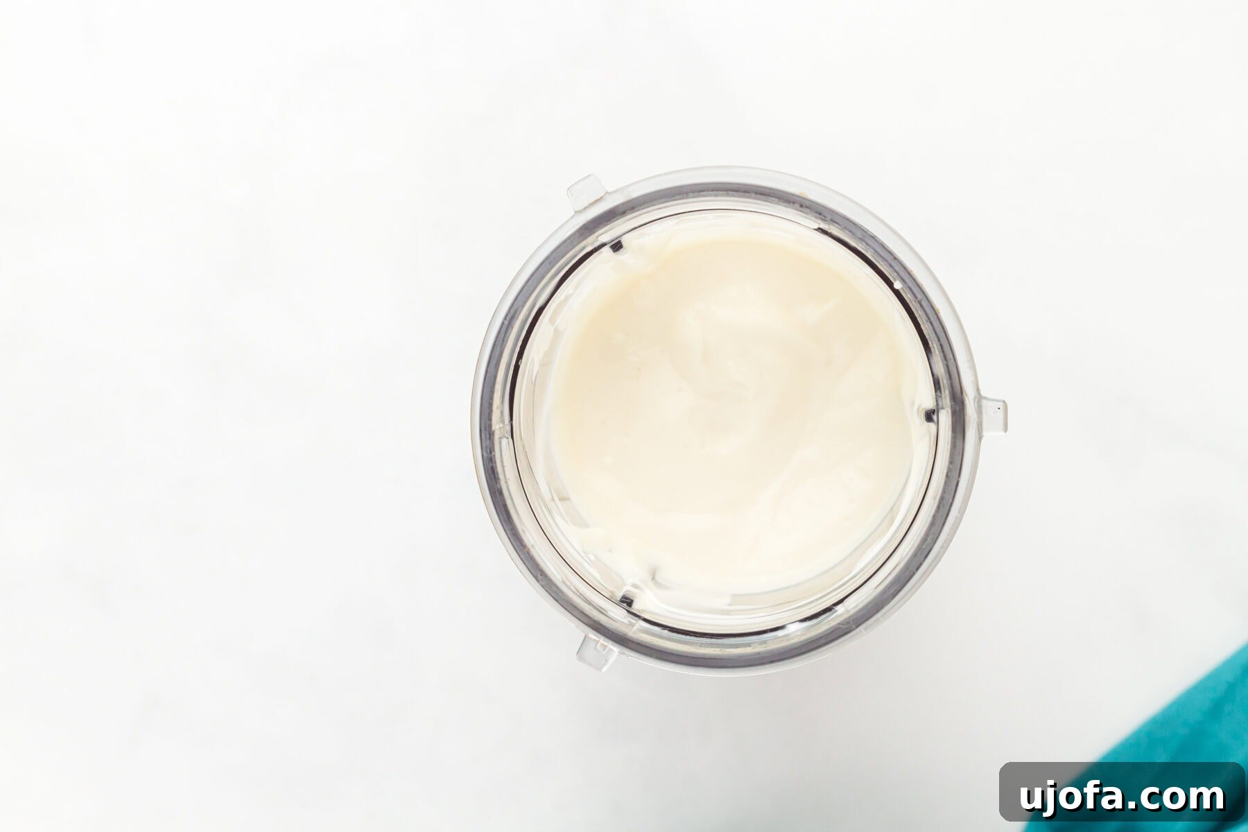 Velvet Vegan Mayo 7 Vegan mayonnaise ingredients in a blender, ready to be blended into creamy mayo
