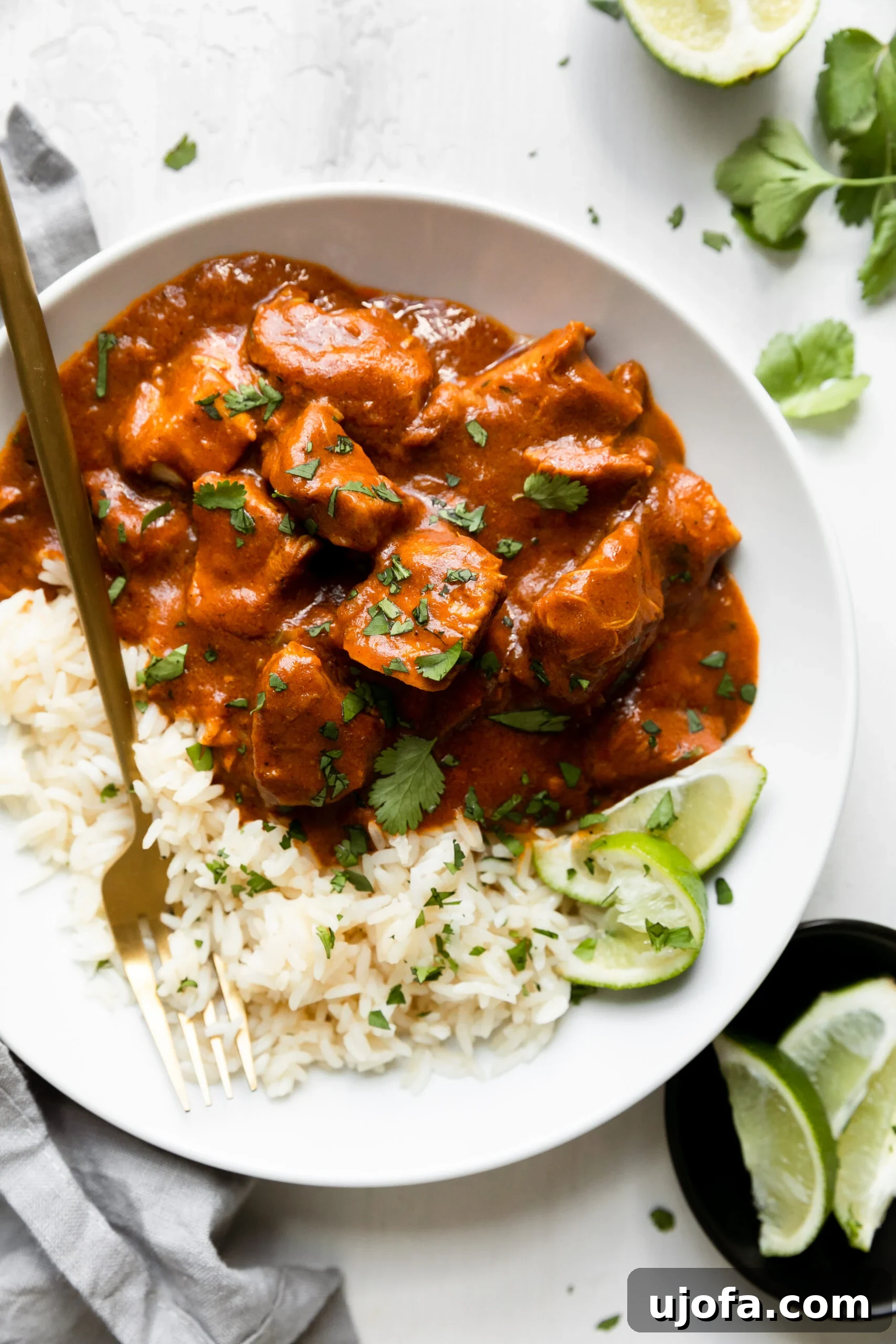 Wholesome Chicken Tikka Masala 2 cubes of chicken smothered in tikka masala sauce over a bed of white rice and garnished with parsley in a white bowl with a gold spoon