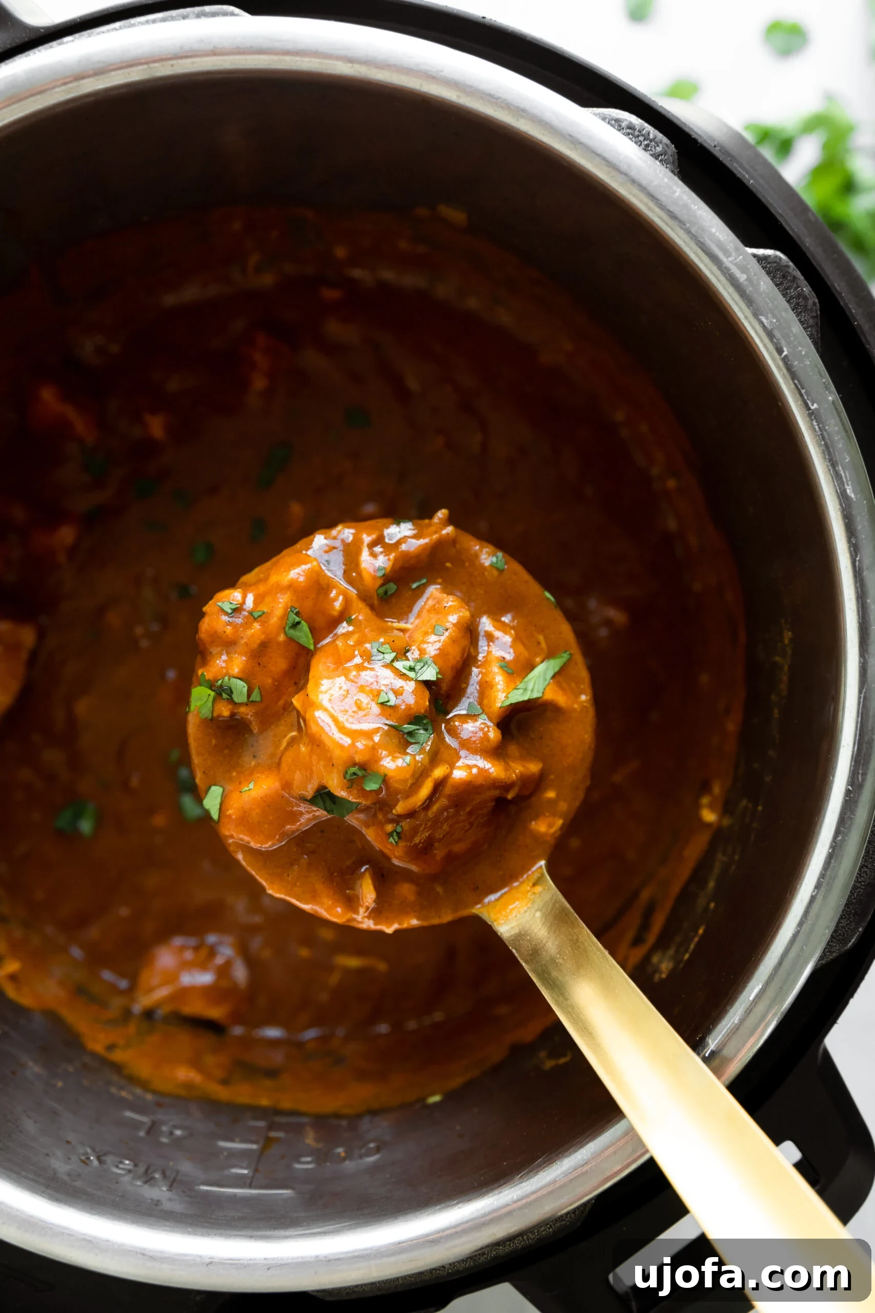 Wholesome Chicken Tikka Masala 5 a close up of a ladle holding chicken tikka masala garnished with parsley over an open instant pot