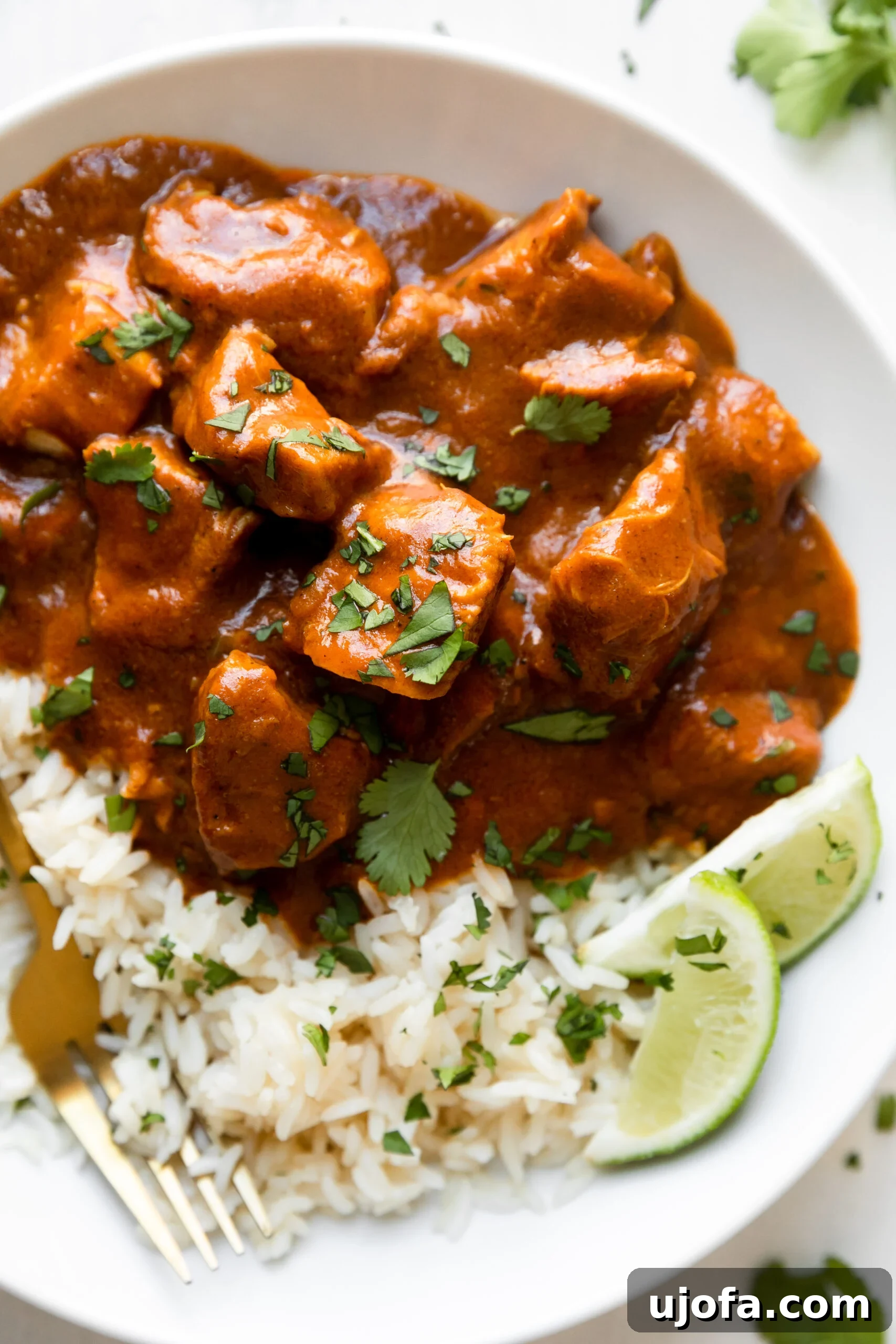 Wholesome Chicken Tikka Masala 6 a big white bowl filled with chicken tikka masala and garnished with parsley over a bed of white rice with a gold fork.