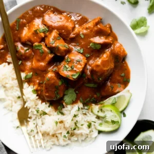 Wholesome Chicken Tikka Masala 7 Chicken Tikka Masala with white rice and lime and cilantro in a white bowl