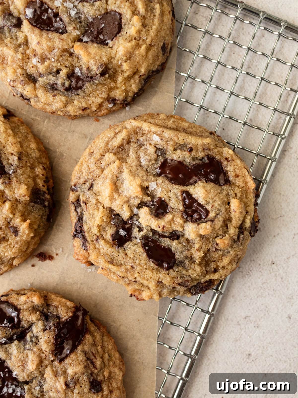Chewy Coconut Flour Chocolate Chip Cookies 2 Coconut flour chocolate chip cookies on a wire rack