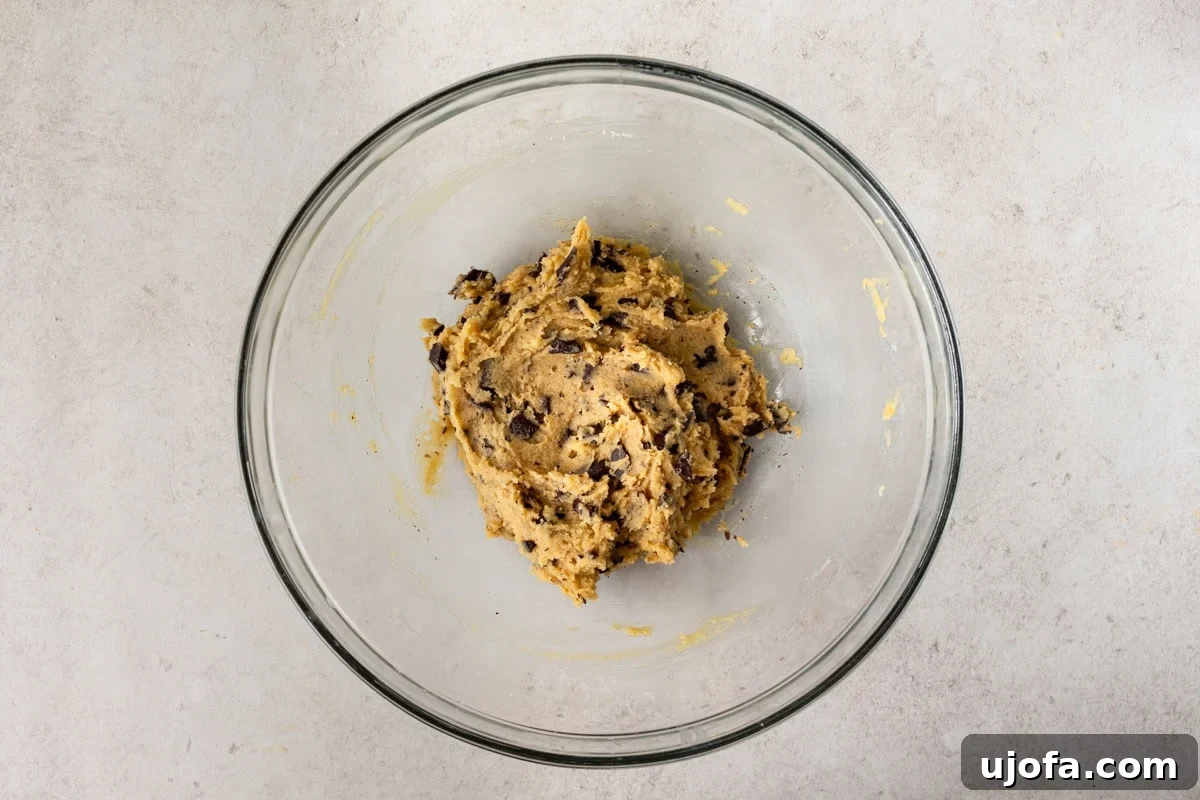 Chewy Coconut Flour Chocolate Chip Cookies 11 coconut flour chocolate chip cookie dough in a mixing bowl