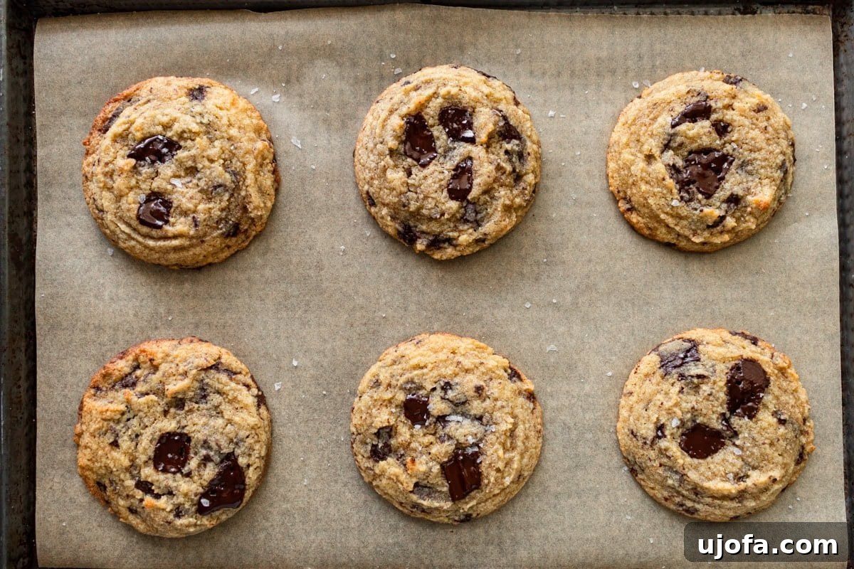 Chewy Coconut Flour Chocolate Chip Cookies 13 coconut flour chocolate chip cookies on a parchment lined baking sheet topped with flaky salt