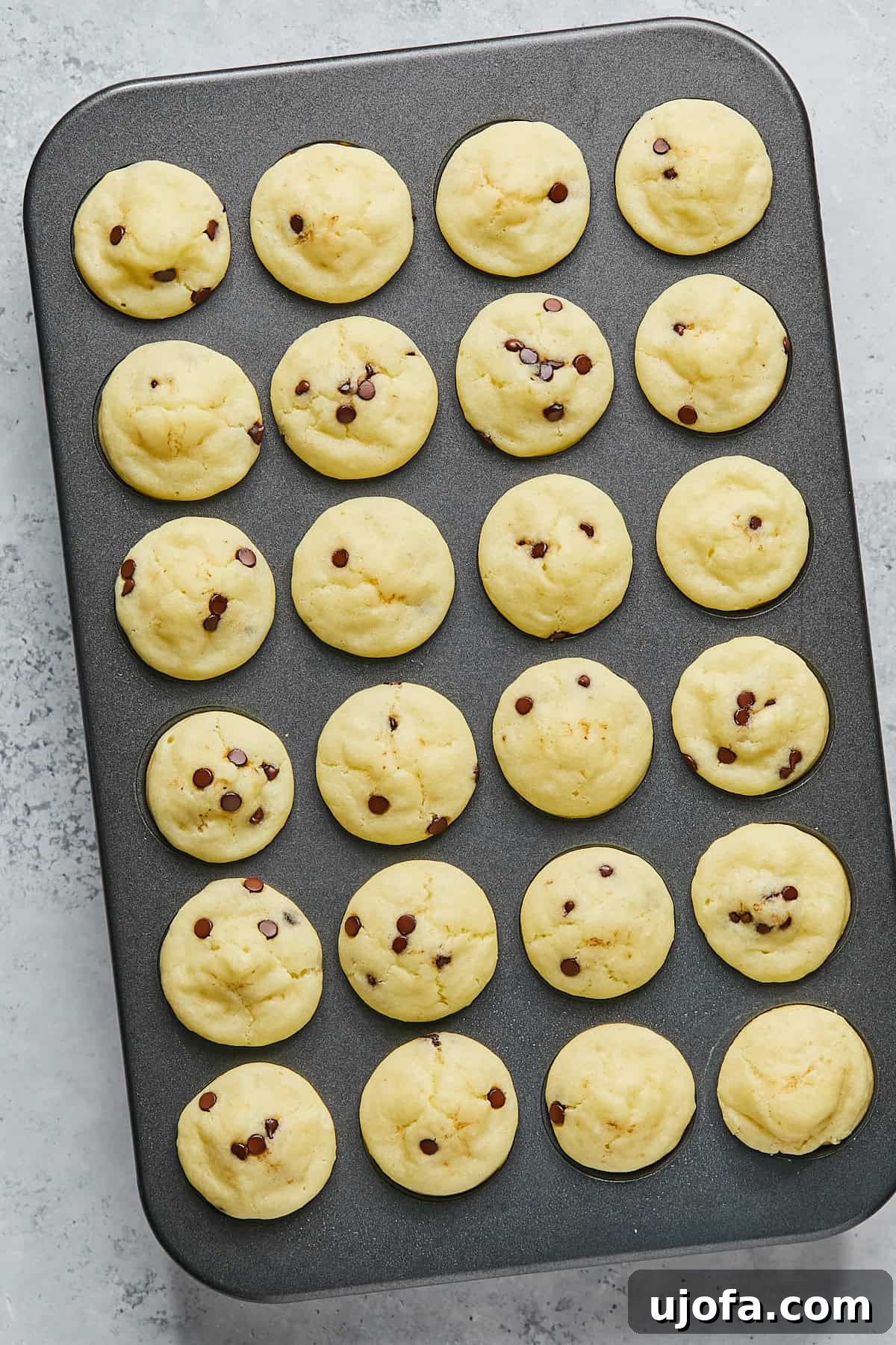 Freshly baked gluten-free mini muffins cooling in a 24-cup mini muffin pan