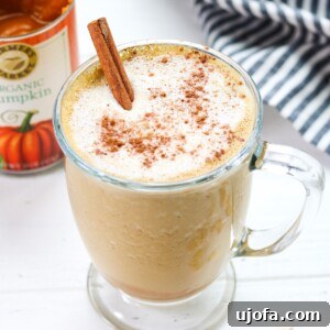 A finished Creamy Cashew Pumpkin Spice Latte.