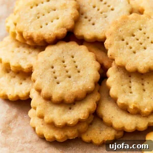 Buttery Golden Gluten-Free Crackers 6 Close up of gluten-free ritz crackers