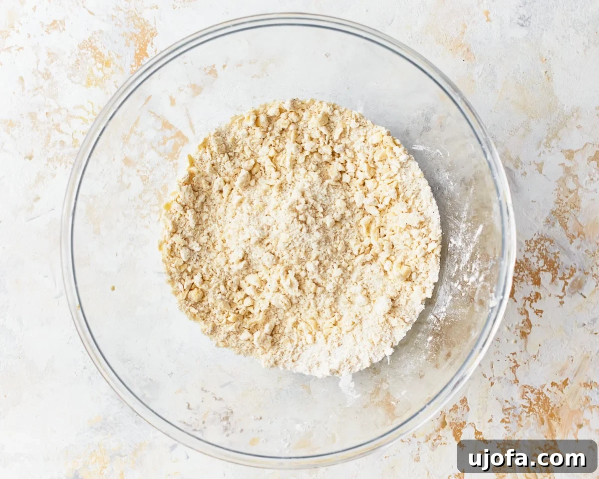 Buttery Golden Gluten-Free Crackers 8 Cold, cubed butter being cut into the dry gluten-free flour mixture with a pastry cutter, forming coarse crumbs.
