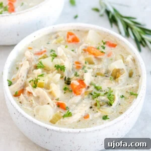 Paleo Chicken Pot Pie Soup with chicken, carrots, celery, and herbs in a white bowl on a gray surface with rosemary