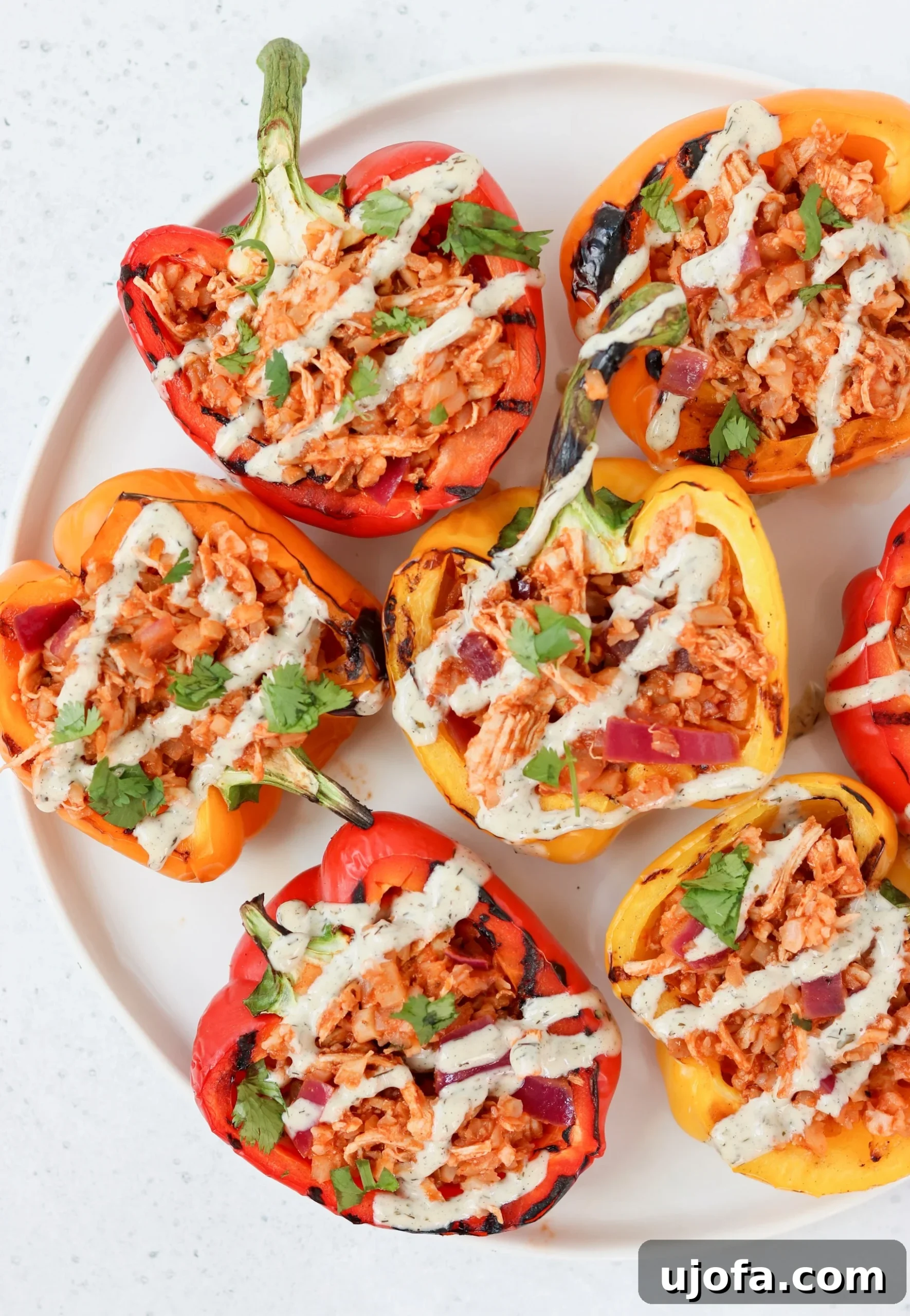 Colorful Whole30 Grilled BBQ Chicken Stuffed Peppers, filled with chicken and vegetables, fresh off the grill.