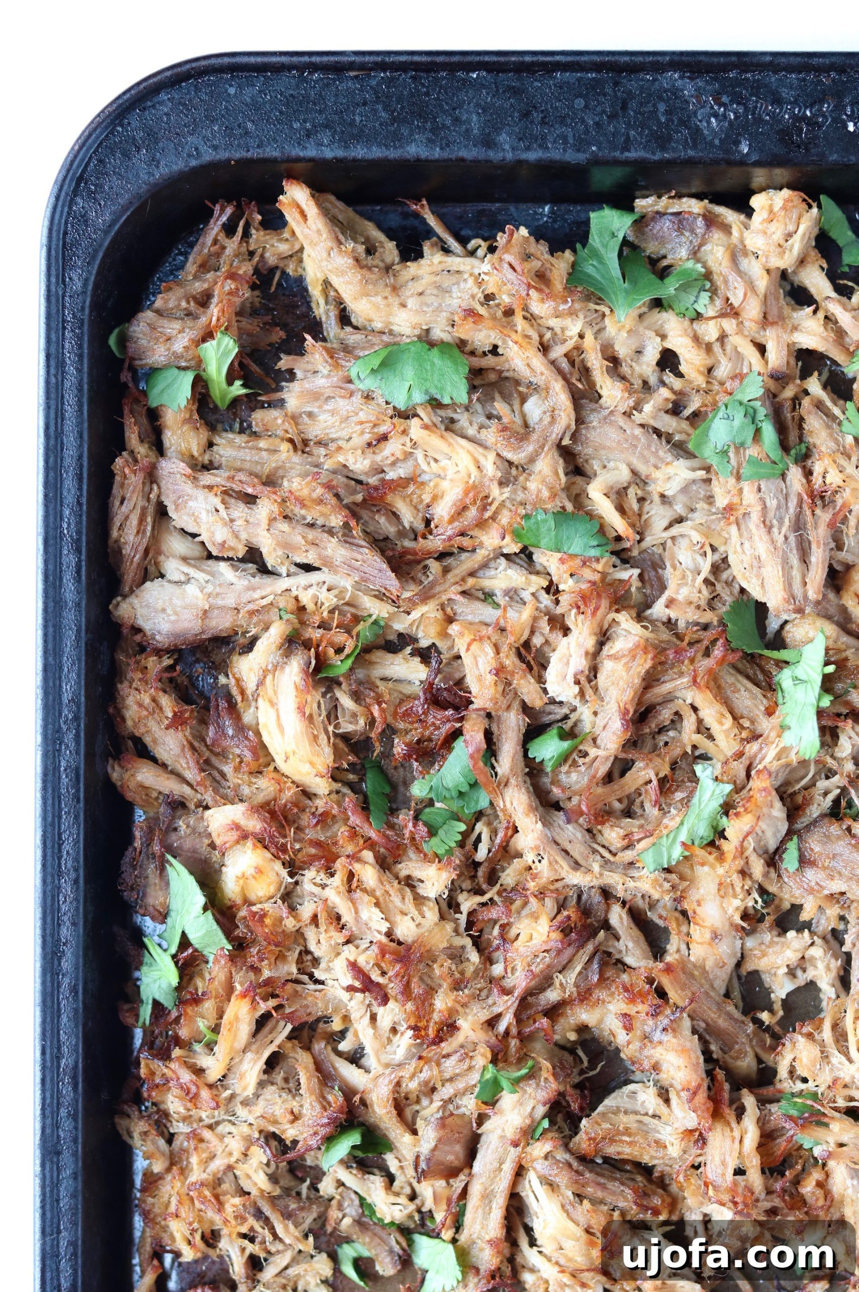 Tender Whole30 Crock Pot Pork Carnitas, shredded and slightly crisped, ready for serving.