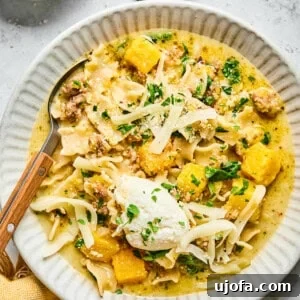 Comforting Butternut Squash Lasagna Soup 11 Butternut squash lasagna soup in a bowl with a spoon