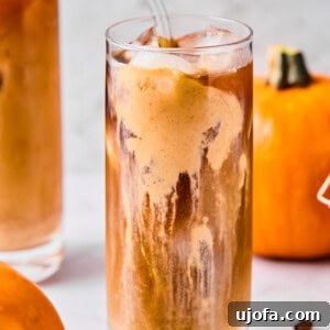 A delightful glass of cold brew coffee, sumptuously topped with a rich, creamy layer of pumpkin protein cold foam, creating an inviting visual for this fall-inspired beverage.