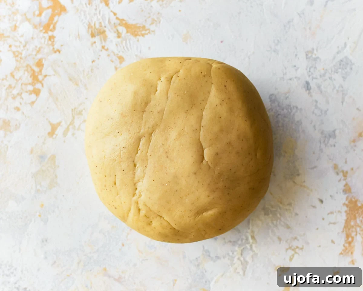 A ball of gluten-free ravioli dough.