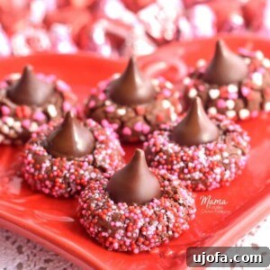 A delicious assortment of Gluten-Free Chocolate Kiss Cookies, featuring tender chocolate bases topped with iconic Hershey Kisses, rolled in festive sprinkles.