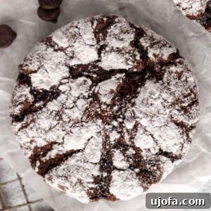 A tantalizing spread of gluten-free chocolate crinkle cookies, dusted with powdered sugar and arranged on white parchment paper, highlighting their signature cracked appearance.