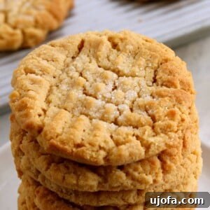 A delicious display of gluten-free peanut butter cookies, featuring the classic crosshatch pattern, highlighting their inviting texture and rich color.
