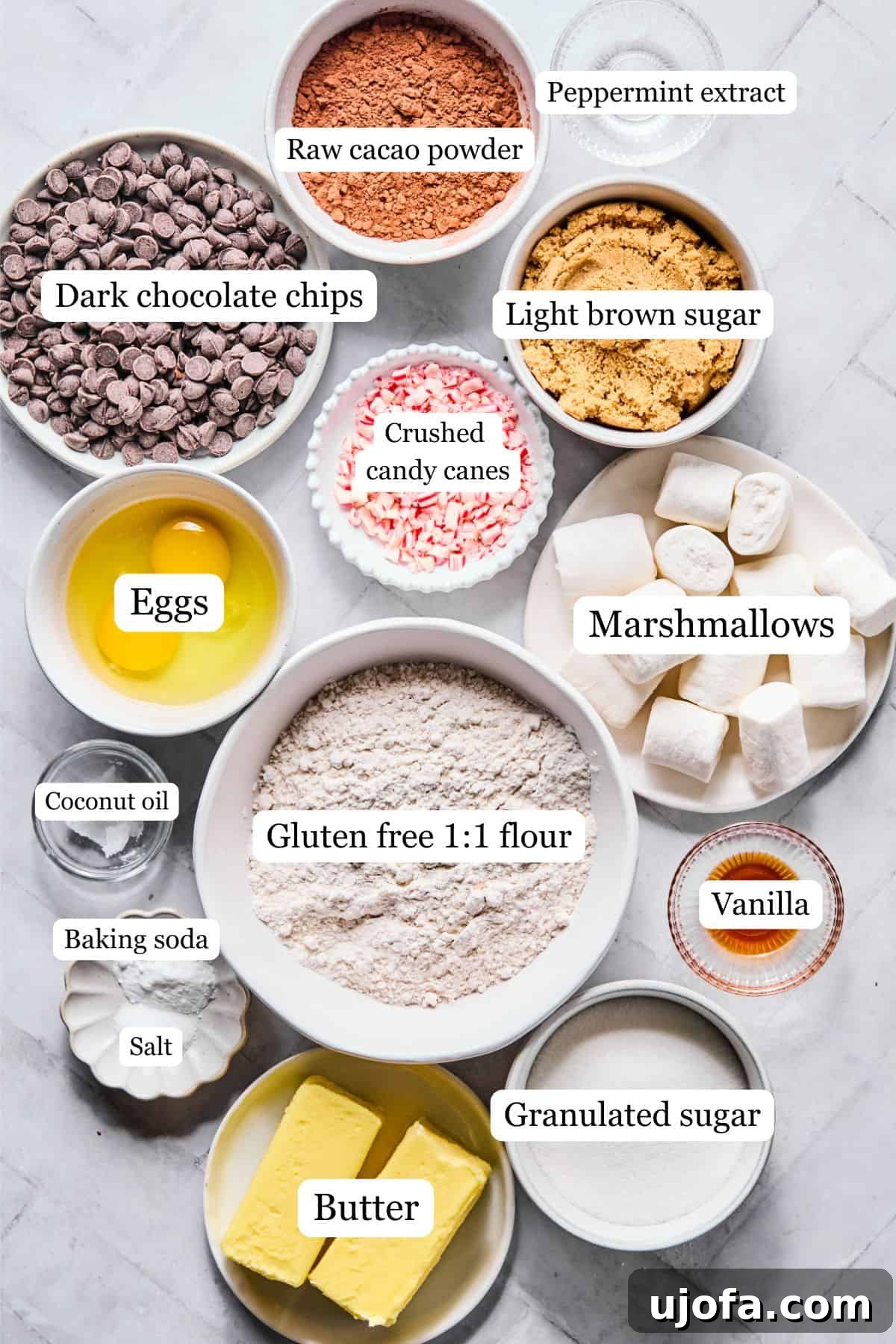 Effortless Gluten-Free Hot Chocolate Cookies 3 All the ingredients for gluten-free hot cocoa cookies, neatly arranged and labeled on a pristine white countertop, ready for baking.