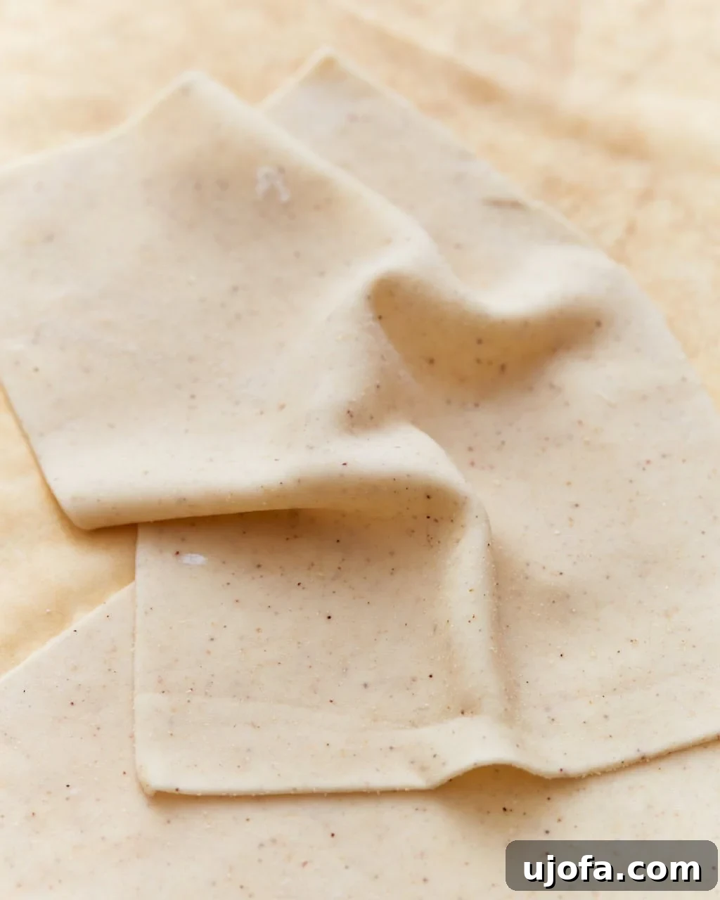 A sheet of gluten-free phyllo dough, delicately thin and ready for baking.