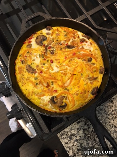 Butternut Ribbon Frittata 2 Butternut Squash Noodle Frittata, cooked and ready to serve