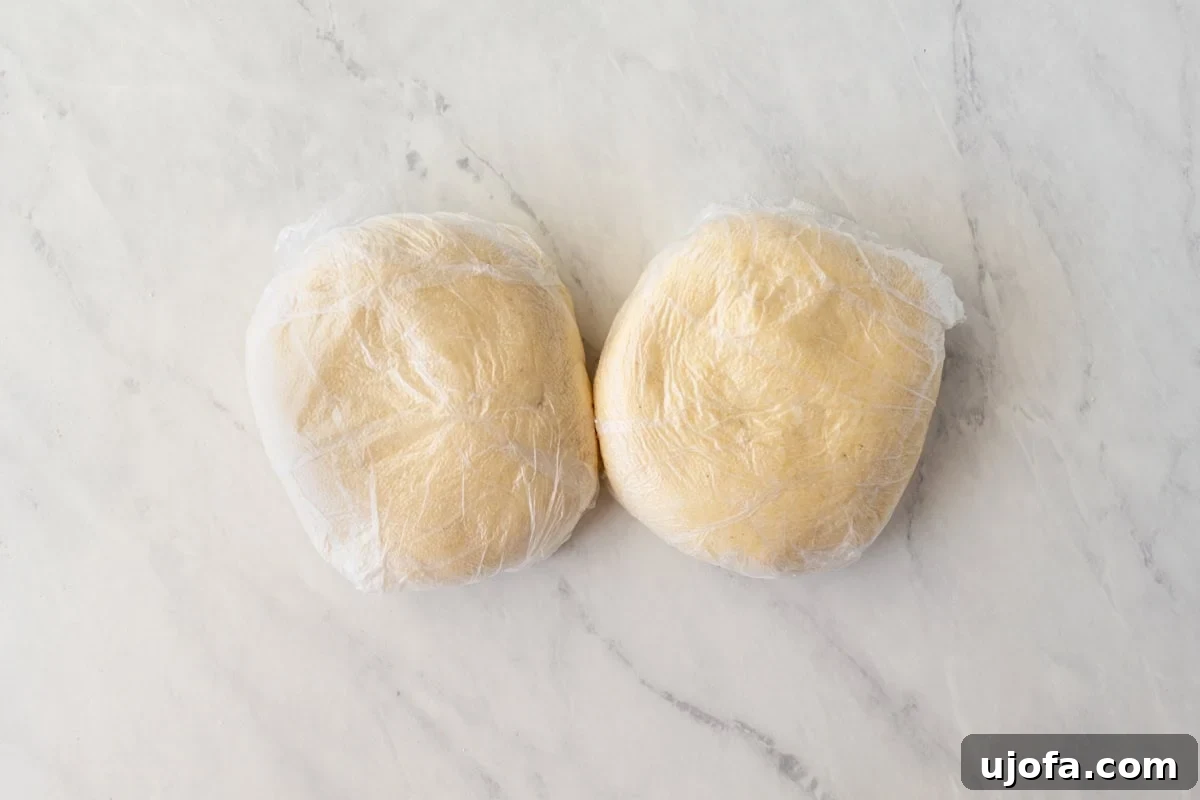 Crafting Gluten-Free Wonton Delights 9 Two discs of gluten-free wonton wrapper dough, tightly wrapped in plastic wrap and ready for chilling in the refrigerator.