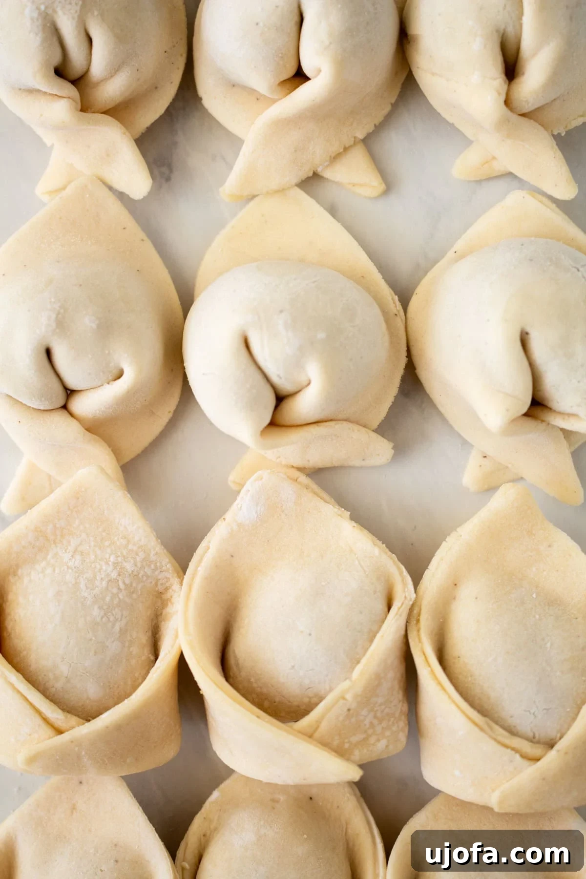 Crafting Gluten-Free Wonton Delights 5 An overhead shot showcasing a variety of gluten-free wontons, both empty wrappers and filled ones, arranged on a surface.