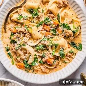 A comforting bowl of creamy sausage and tortellini soup, ready to be enjoyed.