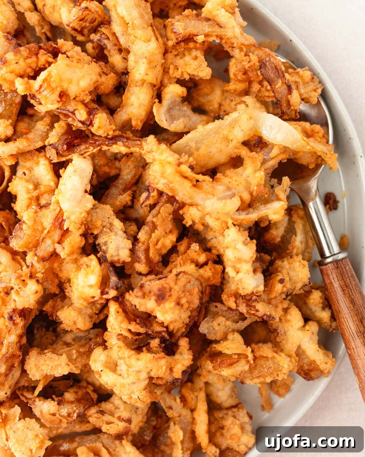 Overhead view of gluten free fried onions in a bowl with a spoon, ready to be served or added as a topping.