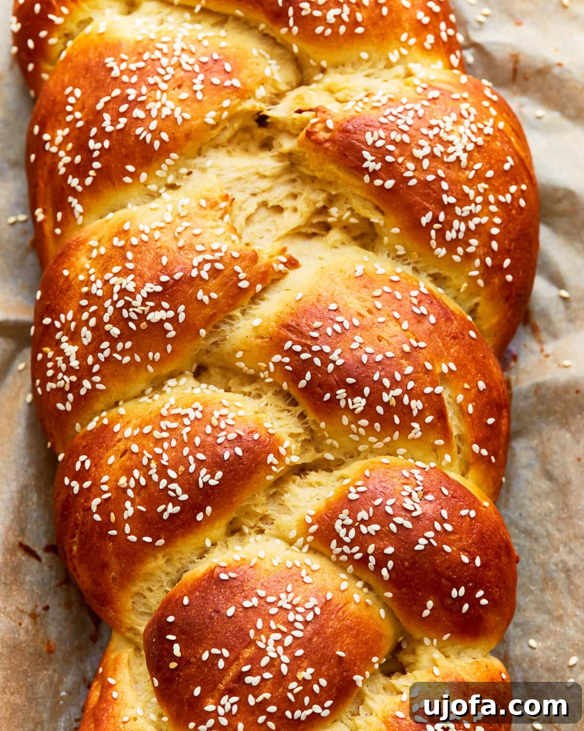Overhead view of gluten-free challah bread topped with sesame seeds.