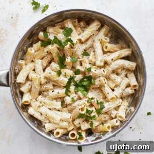 An overhead view of a pot with gluten-free Boursin cheese pasta with a parsley garnish
