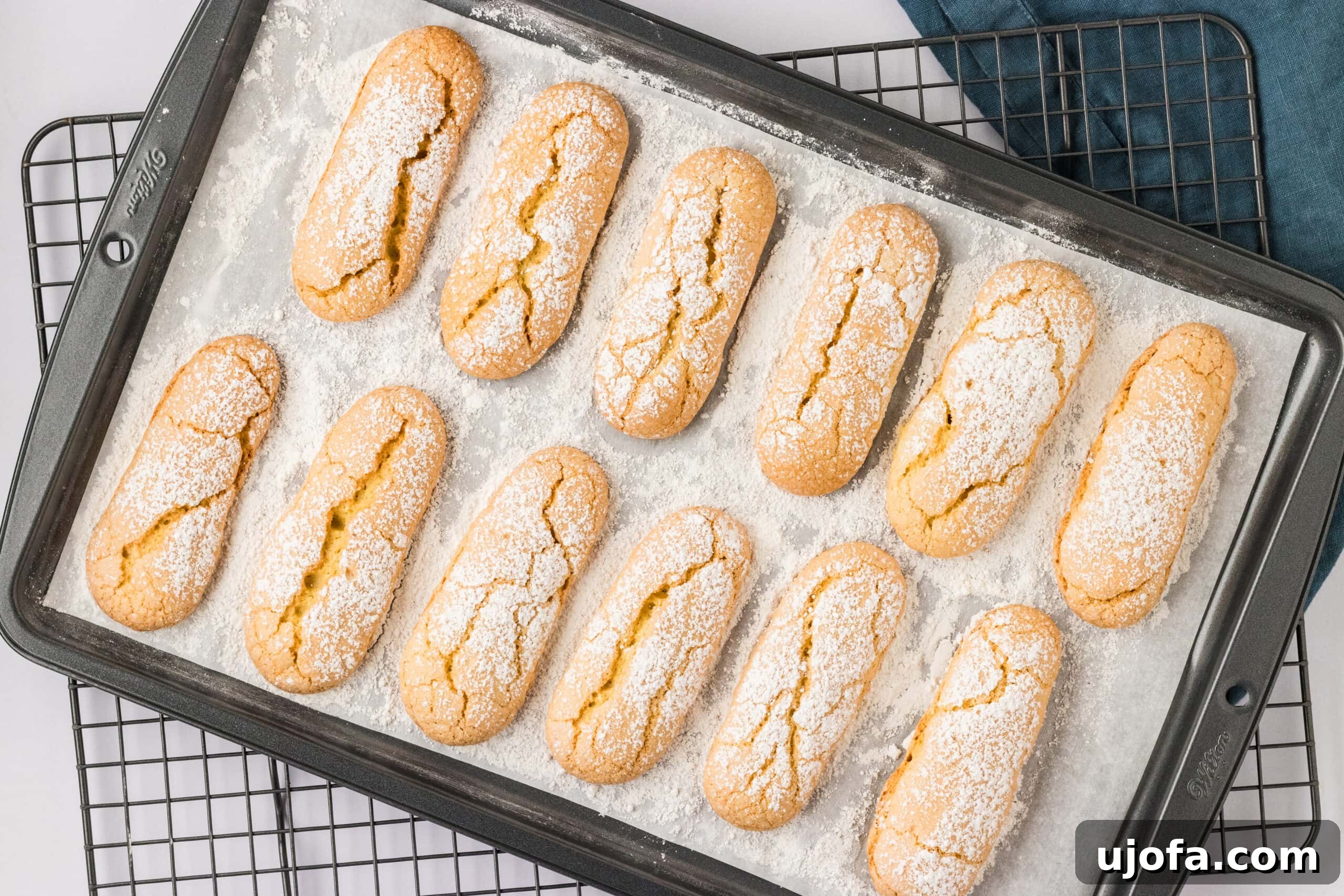The Ultimate Gluten-Free Ladyfingers 18 ladyfingers dusted with powdered sugar lined up on a baking sheet