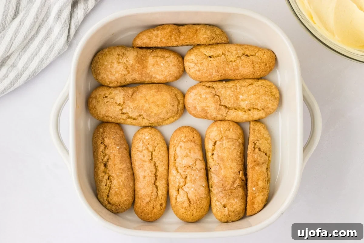 coffee soaked ladyfingers lined at the bottom of a baking dish
