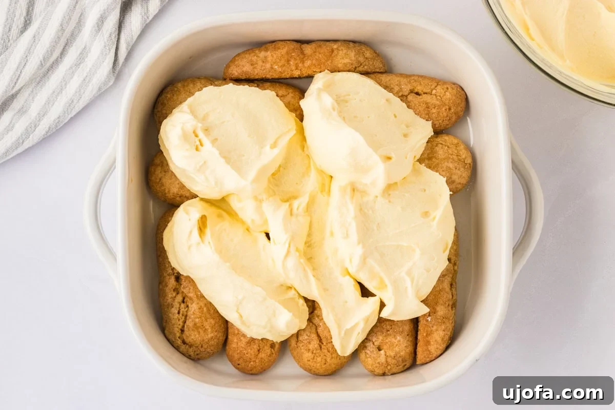 mascarpone cream mixture on top of ladyfingers in white baking dish