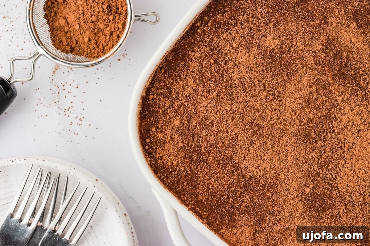 overhead view of baking sheet with tiramisu