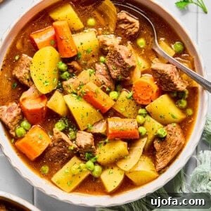 Set It and Forget It Hearty Beef Stew 14 Beef stew icon