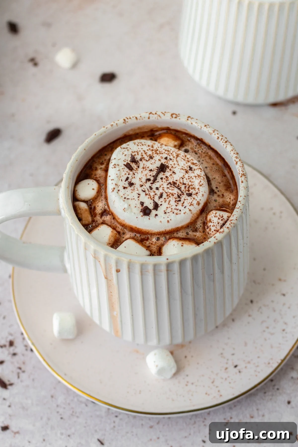Plant-Based Chocolate Indulgence 2 dair-free hot chocolate in a white mug on a white saucer with marshmallows and cocoa powder
