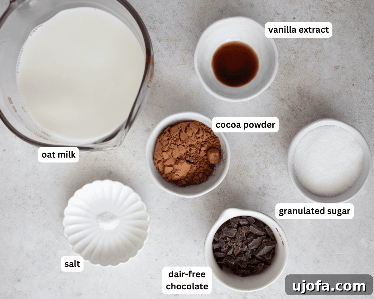 Plant-Based Chocolate Indulgence 3 various ingredients for hot chocolate laid out on a surface, including oat milk, cocoa powder, sugar, chocolate chips, and vanilla extract.