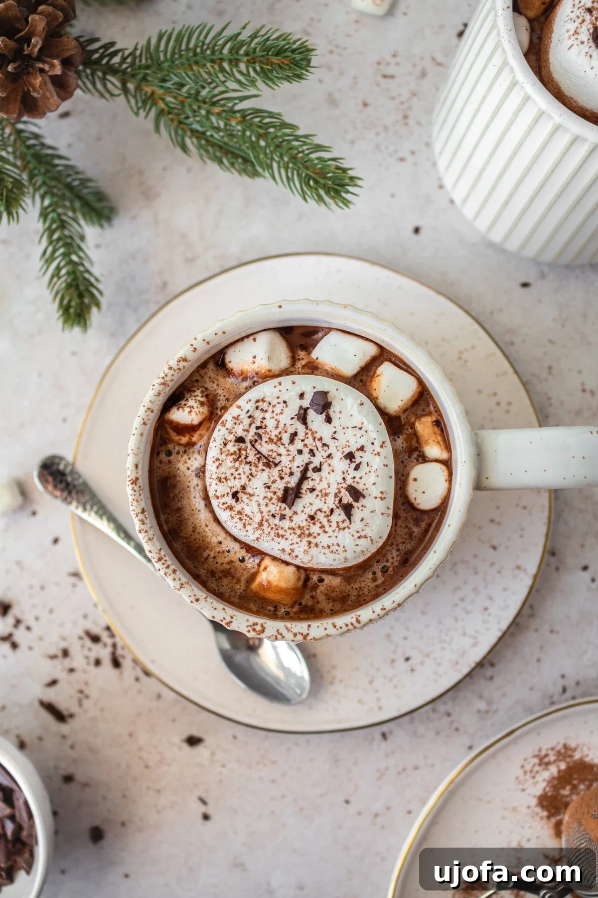 Plant-Based Chocolate Indulgence 4 overhead view of hot chocolate in white mug with marshmallows, cocoa powder and a silver spoon