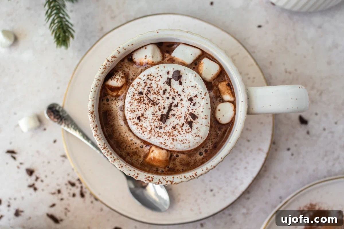 Plant-Based Chocolate Indulgence 6 closeup overhead view of hot chocolate in white mug on white saucer with marshmallows cocoa powder and a silver spoon to the side