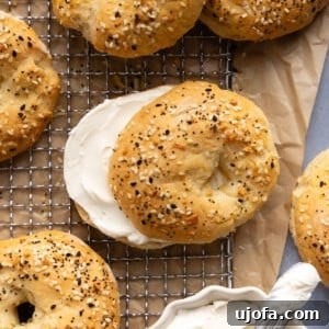 Effortless High Protein Gluten Free Cottage Cheese Bagels 9 cottage cheese bagel sandwich with cream cheese on a cooling rack with other bagels