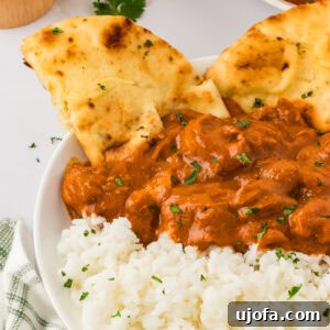 Overhead view of dairy-free butter chicken over basmati rice in a white bowl with naan bread on the side.