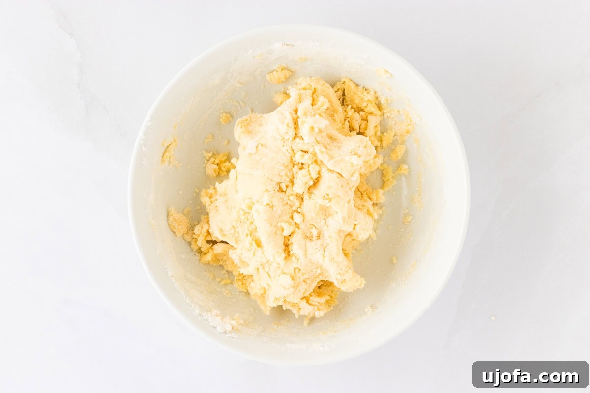 Guilt-Free Crispy Egg Rolls 13 A shaggy, unformed gluten-free egg roll wrapper dough in a white bowl, indicating the initial mixing stage.