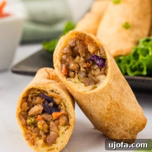 Guilt-Free Crispy Egg Rolls 6 Two gluten-free egg rolls, cut in half, leaning against each other, showcasing their savory filling.