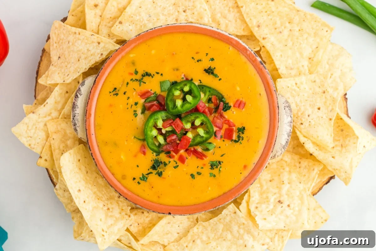 Creamy Vegan Queso 12 vegan queso in terracotta bowl topped with jalapenos, red peppers, and green onions surrounded by tortilla chips