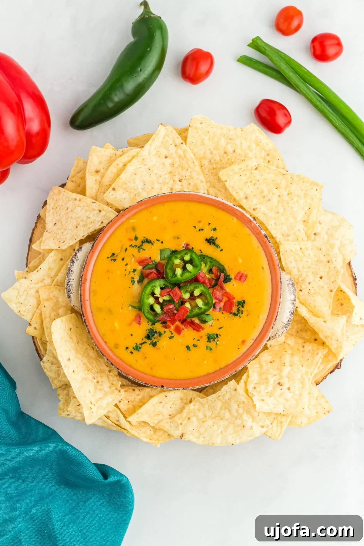 Creamy Vegan Queso 4 vegan queso in a terracotta bowl surrounded by tortilla chips