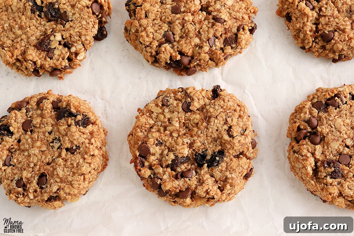 Gluten-free breakfast cookies on white parchment paper, ready to bake.